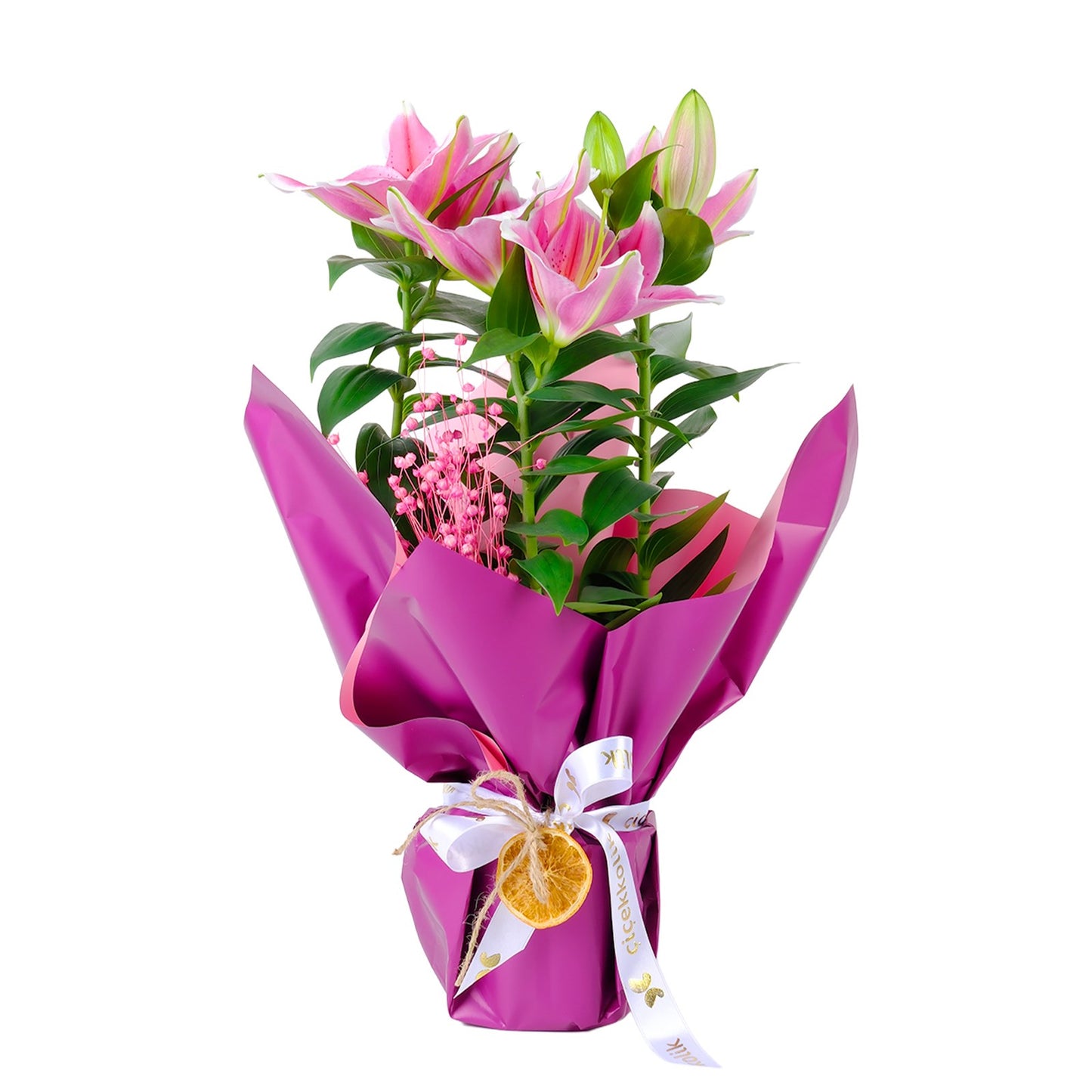 Graceful Pink Great Saksı Lilyum