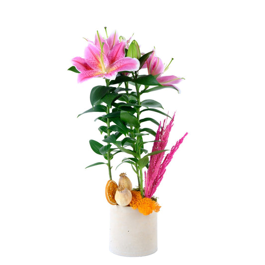 Romantic Touch Lilyum Bitkisi